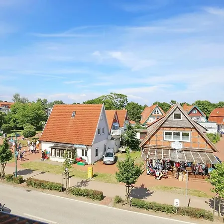 Waterkant 08 - Seestern